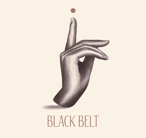 Black Belt - 4 x 0,33l